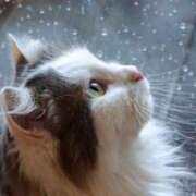 ヒメ日記 2026/03/23 09:03 投稿 西本 MadameRest(マダムレスト)