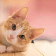 ヒメ日記 2026/03/27 05:28 投稿 西本 MadameRest(マダムレスト)