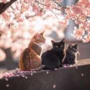 ヒメ日記 2026/03/30 09:27 投稿 西本 MadameRest(マダムレスト)