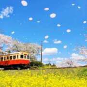 ヒメ日記 2026/04/01 07:50 投稿 西本 MadameRest(マダムレスト)