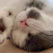 ヒメ日記 2026/04/03 06:50 投稿 西本 MadameRest(マダムレスト)