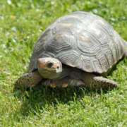 ヒメ日記 2026/04/06 08:57 投稿 西本 MadameRest(マダムレスト)