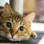 ヒメ日記 2026/04/07 05:22 投稿 西本 MadameRest(マダムレスト)