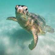 ヒメ日記 2026/04/08 05:22 投稿 西本 MadameRest(マダムレスト)