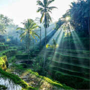 ヒメ日記 2026/04/11 06:01 投稿 西本 MadameRest(マダムレスト)