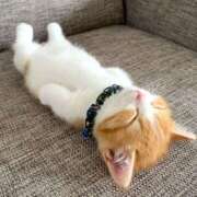 ヒメ日記 2026/04/16 06:01 投稿 西本 MadameRest(マダムレスト)