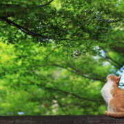 ヒメ日記 2026/04/17 05:21 投稿 西本 MadameRest(マダムレスト)