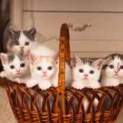 ヒメ日記 2026/04/25 08:58 投稿 西本 MadameRest(マダムレスト)