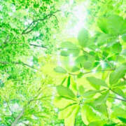 ヒメ日記 2026/04/28 08:56 投稿 西本 MadameRest(マダムレスト)