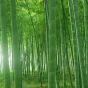 ヒメ日記 2026/05/09 06:59 投稿 西本 MadameRest(マダムレスト)