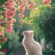 ヒメ日記 2026/05/20 05:09 投稿 西本 MadameRest(マダムレスト)