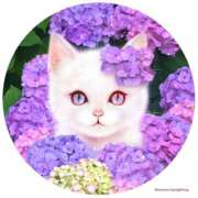 ヒメ日記 2026/06/01 05:19 投稿 西本 MadameRest(マダムレスト)