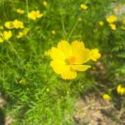 ヒメ日記 2024/12/17 10:49 投稿 あいか 錦糸町ティラミス（シンデレラグループ）