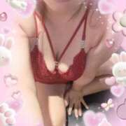 ヒメ日記 2025/03/28 09:30 投稿 ゆき どきどきヘルス探検隊