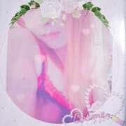 ヒメ日記 2025/03/30 16:41 投稿 ゆき どきどきヘルス探検隊