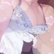 ヒメ日記 2025/04/30 13:59 投稿 ゆき どきどきヘルス探検隊