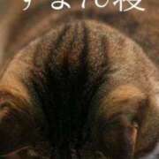 ヒメ日記 2025/08/07 13:14 投稿 ゆき どきどきヘルス探検隊