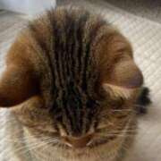 ヒメ日記 2025/08/22 12:56 投稿 ゆき どきどきヘルス探検隊