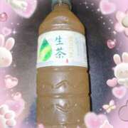 ヒメ日記 2025/10/25 22:25 投稿 ゆき どきどきヘルス探検隊