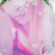 ヒメ日記 2025/11/22 09:01 投稿 ゆき どきどきヘルス探検隊