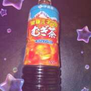 ヒメ日記 2026/02/18 14:11 投稿 ゆき どきどきヘルス探検隊