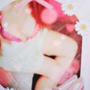 ヒメ日記 2026/03/15 13:37 投稿 ゆき どきどきヘルス探検隊