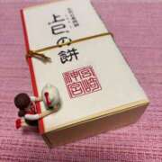 ヒメ日記 2025/03/01 07:45 投稿 ナナコ どきどきヘルス探検隊