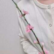 ヒメ日記 2025/03/03 14:37 投稿 ナナコ どきどきヘルス探検隊