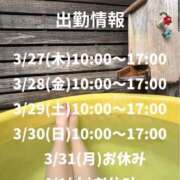 ヒメ日記 2025/03/20 13:05 投稿 ナナコ どきどきヘルス探検隊
