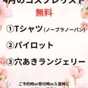 ヒメ日記 2025/04/01 10:32 投稿 ナナコ どきどきヘルス探検隊