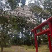 ヒメ日記 2025/04/01 10:44 投稿 ナナコ どきどきヘルス探検隊