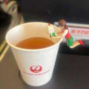 ヒメ日記 2025/04/15 10:25 投稿 ナナコ どきどきヘルス探検隊