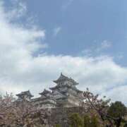 ヒメ日記 2025/04/16 15:56 投稿 ナナコ どきどきヘルス探検隊