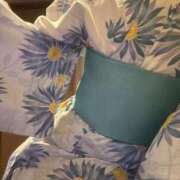 ヒメ日記 2025/07/24 09:50 投稿 ナナコ どきどきヘルス探検隊