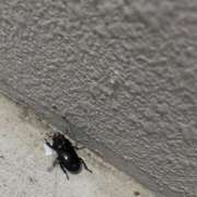 ヒメ日記 2025/08/17 23:23 投稿 ナナコ どきどきヘルス探検隊