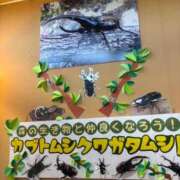 ヒメ日記 2025/08/19 20:11 投稿 ナナコ どきどきヘルス探検隊