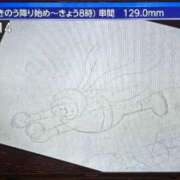 ヒメ日記 2025/08/22 08:24 投稿 ナナコ どきどきヘルス探検隊