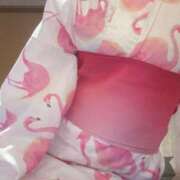 ヒメ日記 2025/08/24 09:31 投稿 ナナコ どきどきヘルス探検隊