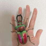 ヒメ日記 2025/08/27 19:28 投稿 ナナコ どきどきヘルス探検隊