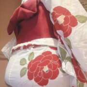 ヒメ日記 2025/08/29 07:54 投稿 ナナコ どきどきヘルス探検隊