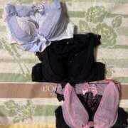 ヒメ日記 2025/09/20 08:10 投稿 ナナコ どきどきヘルス探検隊