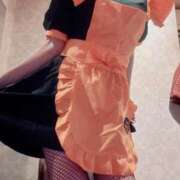 ヒメ日記 2025/09/29 14:17 投稿 ナナコ どきどきヘルス探検隊