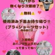 ヒメ日記 2025/09/30 05:55 投稿 ナナコ どきどきヘルス探検隊