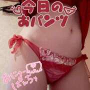 ヒメ日記 2025/10/19 20:26 投稿 ナナコ どきどきヘルス探検隊