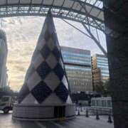 ヒメ日記 2025/10/22 06:00 投稿 ナナコ どきどきヘルス探検隊