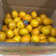 ヒメ日記 2025/10/27 21:05 投稿 ナナコ どきどきヘルス探検隊