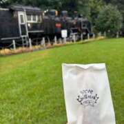 ヒメ日記 2025/10/31 13:54 投稿 ナナコ どきどきヘルス探検隊