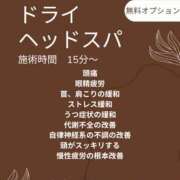 ヒメ日記 2025/11/03 11:34 投稿 ナナコ どきどきヘルス探検隊