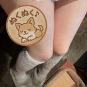 ヒメ日記 2025/11/07 19:57 投稿 ナナコ どきどきヘルス探検隊