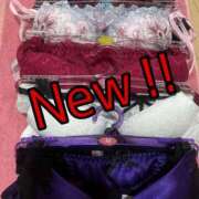 ヒメ日記 2025/11/10 10:07 投稿 ナナコ どきどきヘルス探検隊